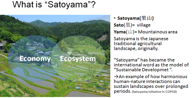 Định nghĩa về kinh tế sinh thái Satoyama trong nông nghiệp