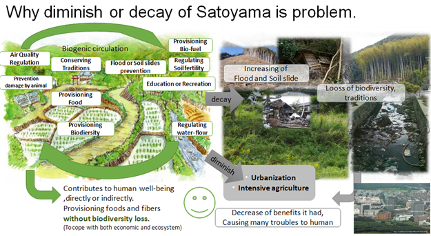 Vấn đề khi kinh tế Satoyama bị suy giảm ảnh hưởng tới xã hội Nhật Bản